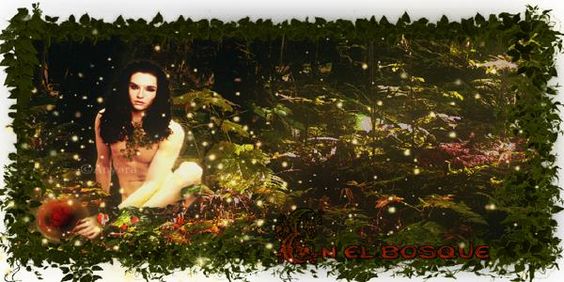 En el bosque En el bosque