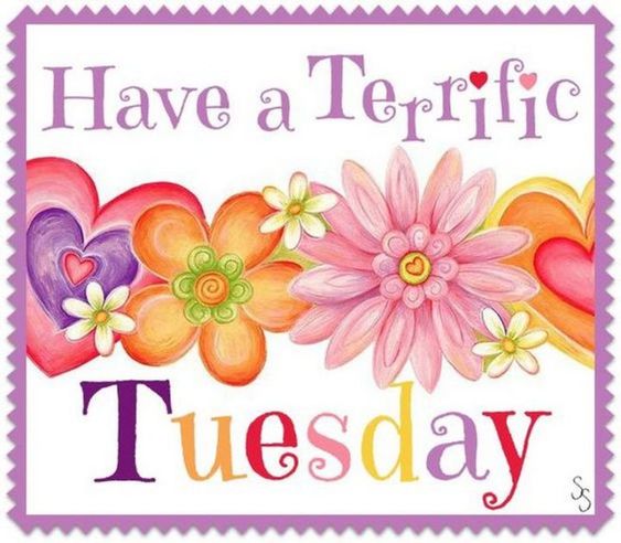 101 Tuesday Memes - "Have a terrific Tuesday."