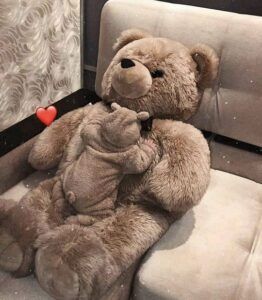 Cute girl DP for Whatsapp: Download the latest girls Cute DP. We have 100+ cute girl images which you can use as your Profile Pics