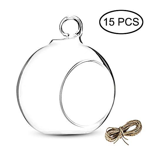 Nuptio 8 Pcs 3.15// 8cm Hanging Glass Tealight Holder Globe Plant Terrariums Glass Orbs Air Plants Tea Light Candle Holders Home Decor Indoor Outdoor Garden with 2 Holes, 6 Pcs + 2 Pcs
