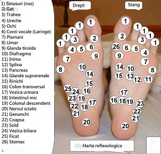 schema de tratament cu varicoza la picior