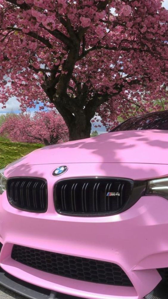 sports car luxury sport cars fast sport car fast sports cars fast sport car luxury sports cars luxury sport cars luxury sport cars mustang sports cars mustang car car accessories car aesthetic car wallpaper sports car equipment luxury car dream car car drawing weird car pink car sports car sports car party theme sports vintage car cool car