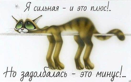 Прикольные мотивации для похудения