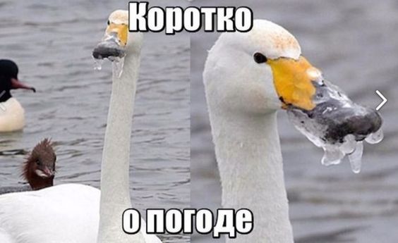 Прикольные картинки для души и тела (57 шт)