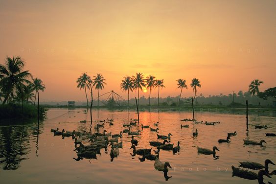 Good Morning Kerala