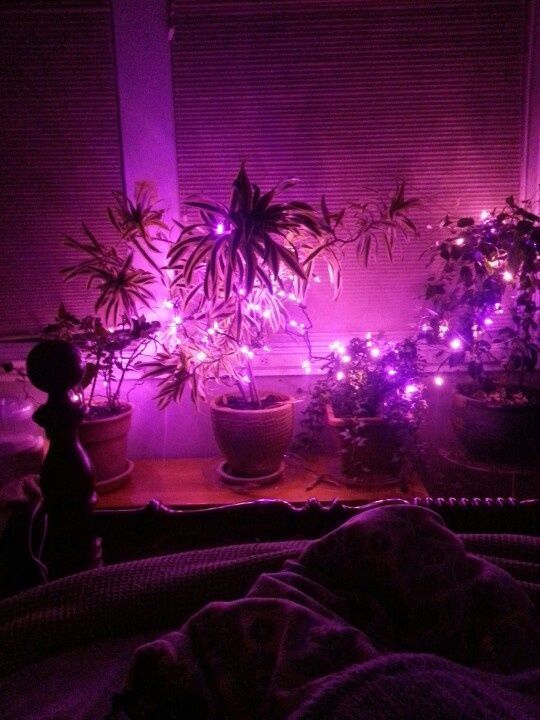 Edge Led Purple Lights Neon Room Led Lighting Bedroom Dreamy Room