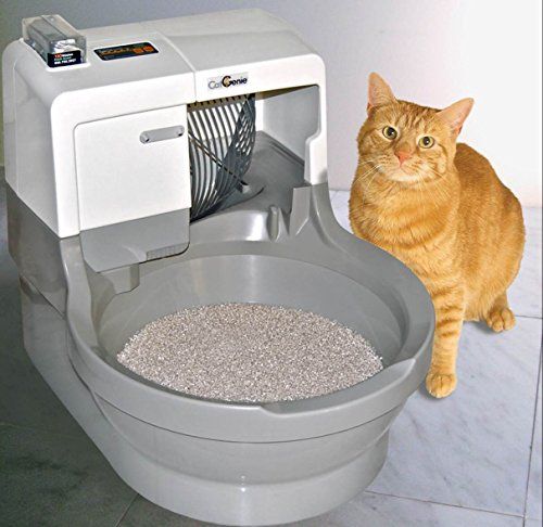 CatGenie Self Washing Self Flushing Cat Box CatGenie http://smile.amazon.com/dp/B008JGIYVE/ref=cm_sw_r_pi_dp_qp9wwb1BYMM8M