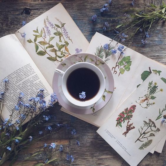 Fascinating Cool Ideas: Coffee Tumblr Latte coffee tree heavens.Coffee In Bed Writing coffee shop chairs.Coffee Shop Chairs.. #CoffeeScrubDiy