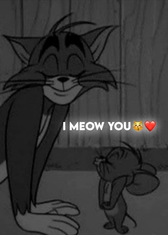 tom-and-jerry