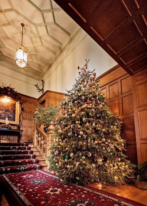 12 Of The Best Hotel Christmas Trees From Around The World クリスマス アイデア クリスマス ディスプレイ ホテル クリスマスツリー 12 Of The Best Hotel Christmas Trees From Around The World クリスマス アイデア クリスマス ディスプレイ ホテル クリスマスツリー