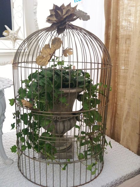 Blossoms Vintage Chic | Bird cage decor, Vintage bird cage ...