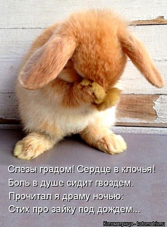 Прикольный Фото В Душе Прикольный Фото В Душе