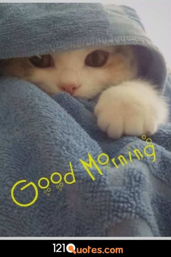 Top 200+ Beautiful Good Morning Images 2022 With Quotes