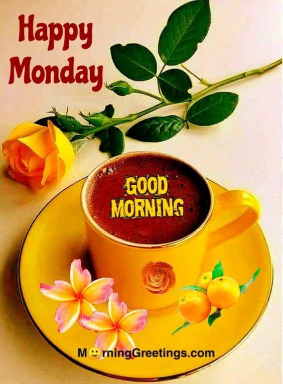 Search Results - Morning Greetings – Morning Quotes And Wishes Images