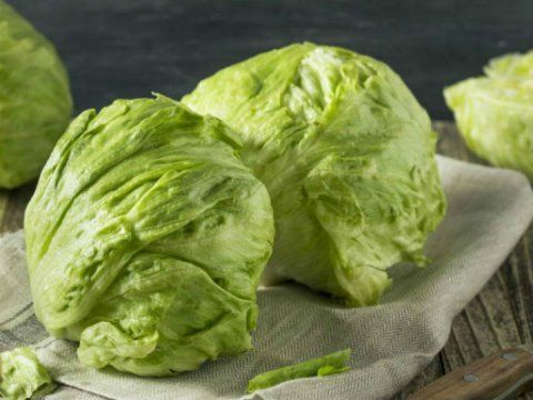Te Decimos Cómo Mantener La Lechuga Fresca Por Más Tiempo Ensaladas De Lechuga Verduras Comer Crudo