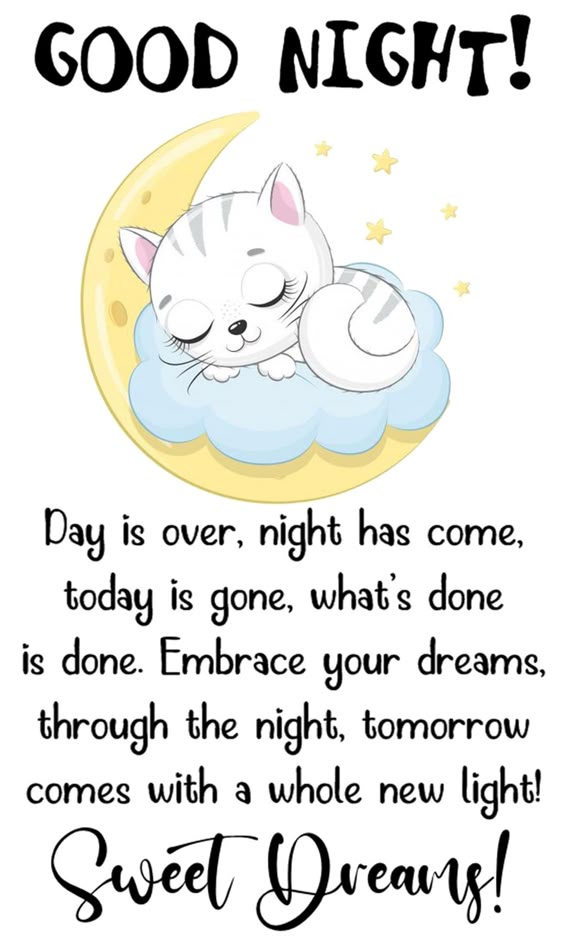 Good Night!