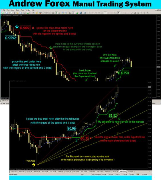 Top 10 Best MT4 Forex Brokers in Fully Regulated