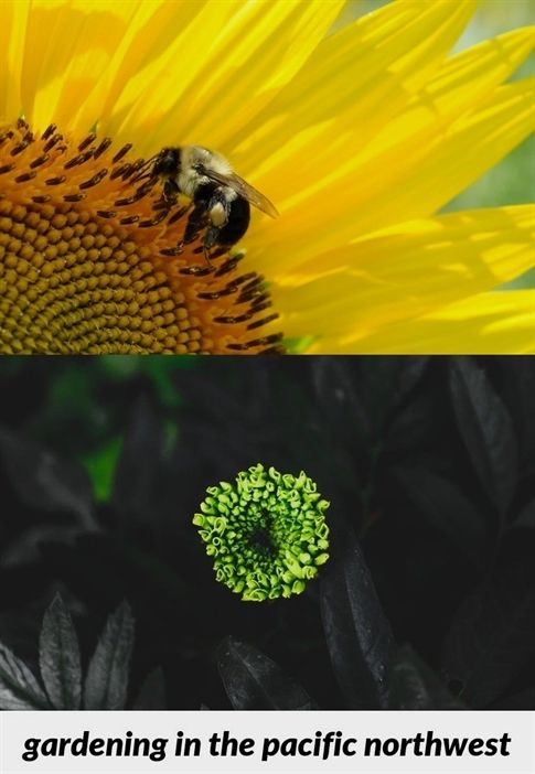 Organic Horticulture Tips That Will Help You Get A Better Garden