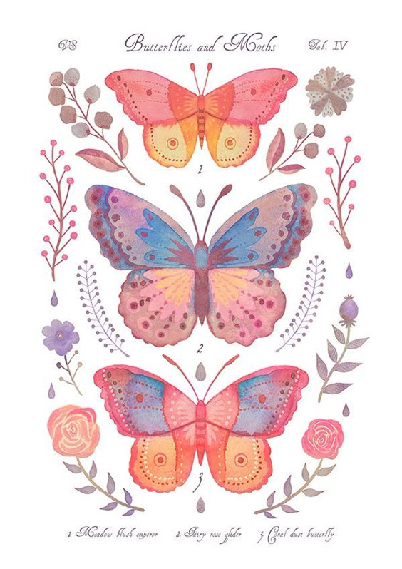 Jun 6, 2021 - A series of illustrations depicting imaginary moth and butterfly species in the style of vintage natural history books.