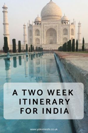 An efficient 2 week India itinerary: North and South India! | Yoko Meshi