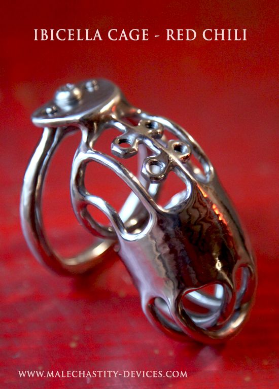 Permanent Chastity Device Permanent Chastity Device