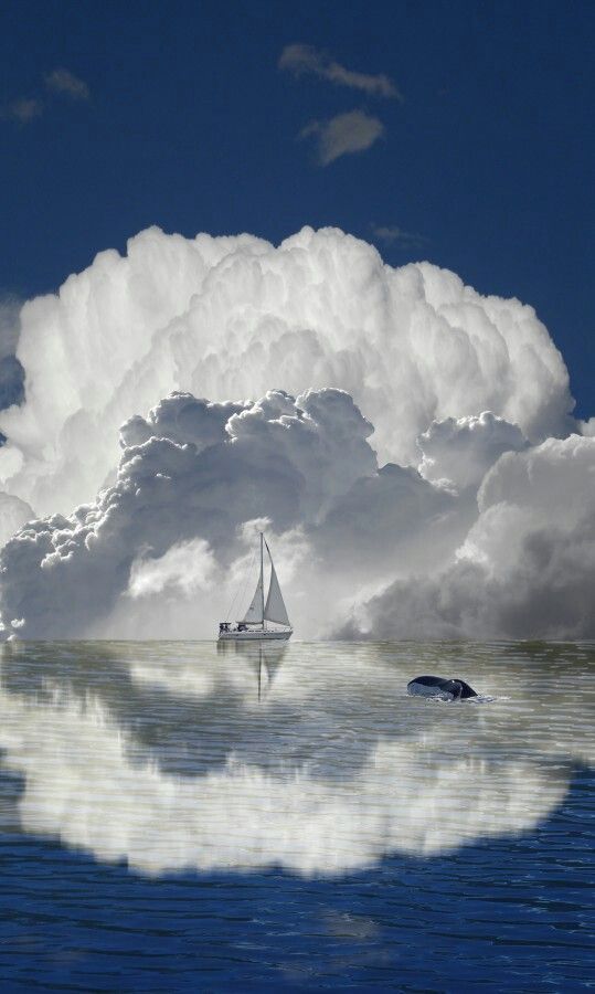Wow. Beautiful #Phot beautiful amazing