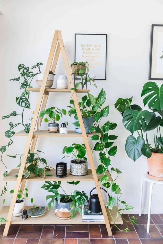 Dicas de decoração para casa