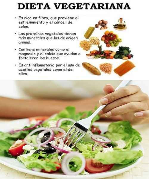 tipos de alimentos para veganos tipos de alimentos para veganos