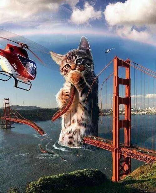 * * " Me dreamed me took down de San Francisco bridge in me Maidenform fur."