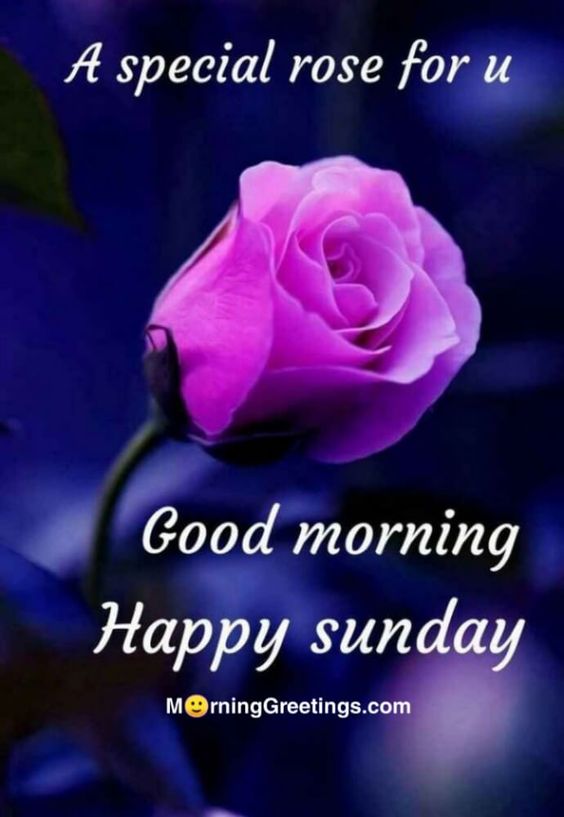 50 Good Morning Happy Sunday Images - Morning Greetings – Morning Quotes And Wishes Images
