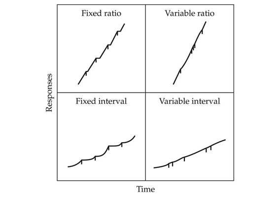 variable interval reinforcement schedules graph for quiz - Google - functional behavior assessment variable interval reinforcement schedules graph for quiz - Google - functional behavior assessment