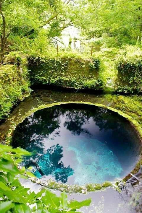 2020 S Top 10 Small Inground Pool Ideas Small Pool Design Natural Swimming Pools Backyard Pool Landscaping