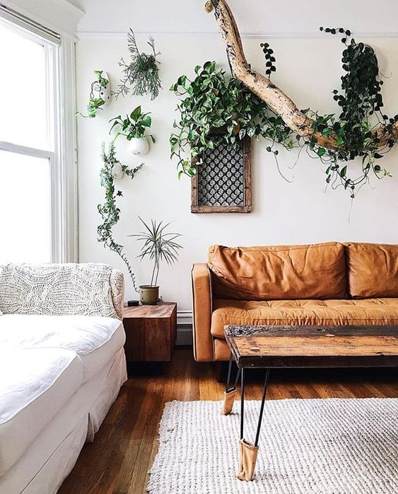 Mua sofa da thật ở đâu cho phòng khách Bắc Âu tươi sáng