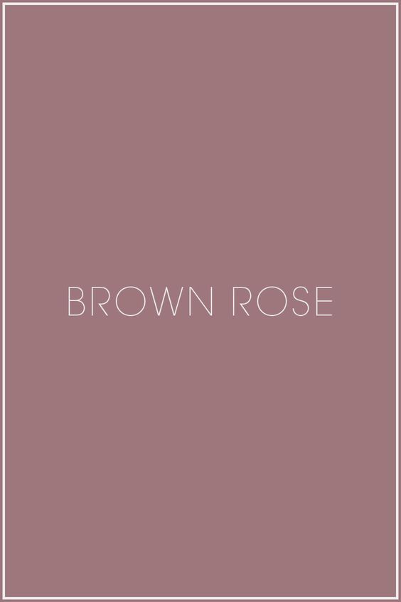 Englische Rose James Galway Englische Rosen David Austin Rosen Rosen