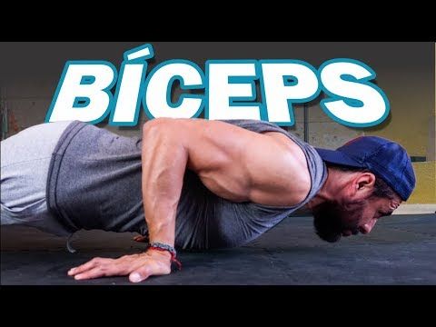 Bíceps Sin Pesas 2 Ejercicios En Casa Youtube Ejercicios De Calistenia Entrenamiento De Tríceps Entrenamiento Biceps