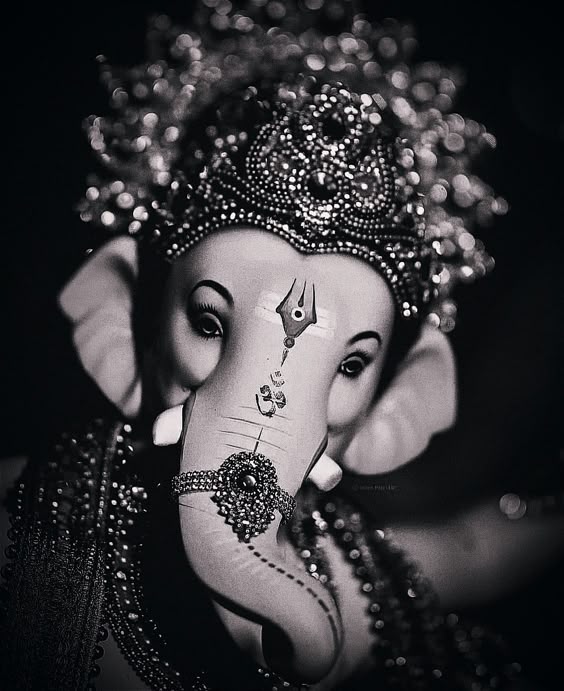 #ganesha #blessigs #qoutes #hope #trust #live #onelife #gratitude #uk #ind #usa #nz
