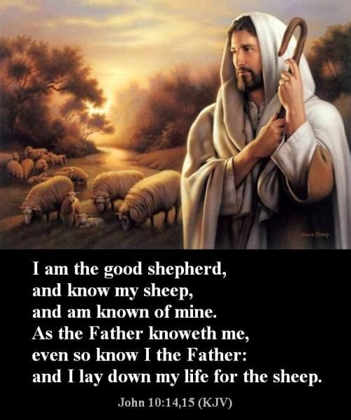 Pin on Bible Verses