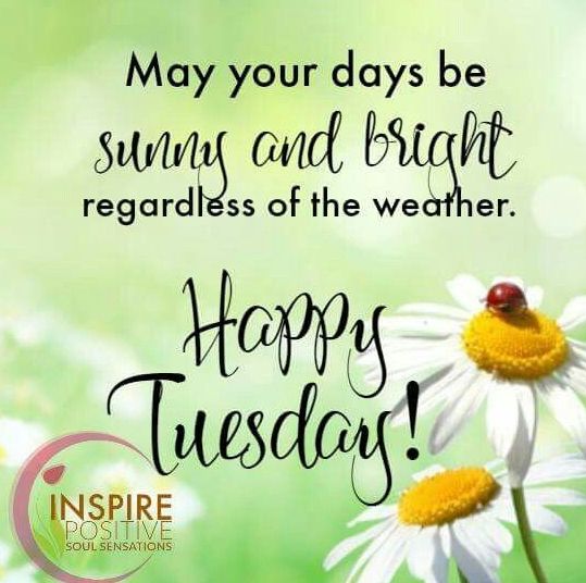 Happy Tuesday