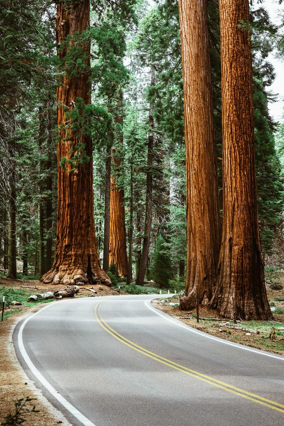 The 50 most beautiful places in the world to visit in 2021