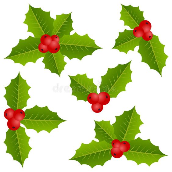 Holly Berry Christmas Collection Stock Vector - Illustration of decorative, festivity: 35491644