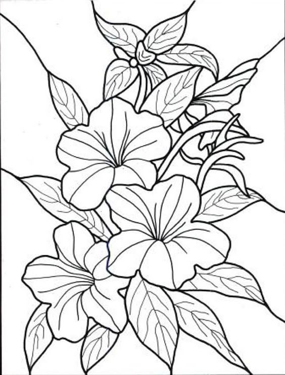tropical flowers stained glass coloring book hand drawn rh pinterest com art adult coloring pages printable - Adult Coloring Pages Flowers tropical flowers stained glass coloring book hand drawn rh pinterest com art adult coloring pages printable - Adult Coloring Pages Flowers