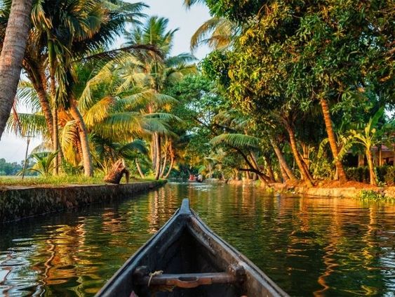 Why Kerala is Top of My Bucket List