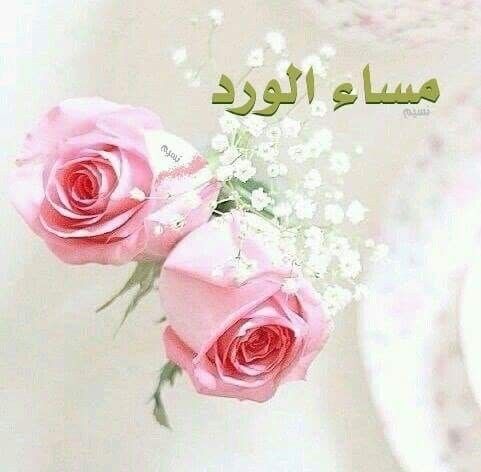 هناك من يرى في الورد عطرا وهناك من يرى فيه شوكا ولكل منا رؤيته للحياة ويبقى جمال الورد في قلوبن Beautiful Flowers Pictures Flowers Flower Pictures