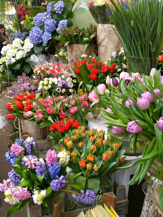 The Flowers in Europe - Duke Manor Farm by Laura Janning