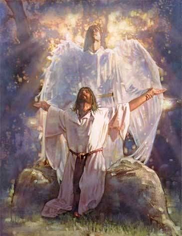 rise and be healed by David Harper