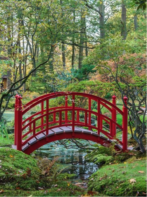 Canvas Art Id 44680921 Wall Prints Garden Bridge Autumn Japanese Garden Bridge, Japanese Garden Bridges Australia