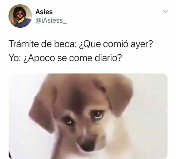 JAJAJA