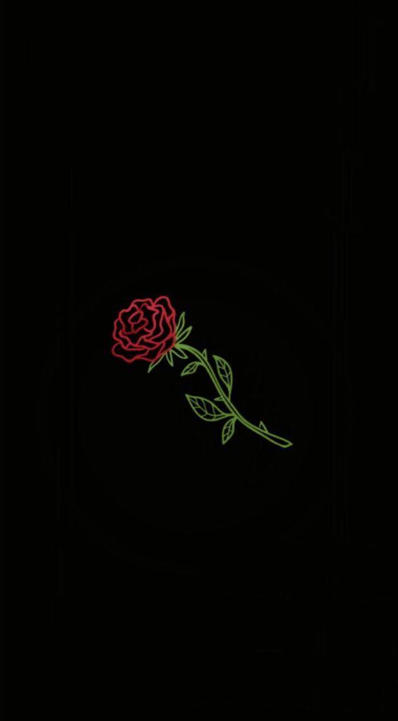 Aesthetic roses
