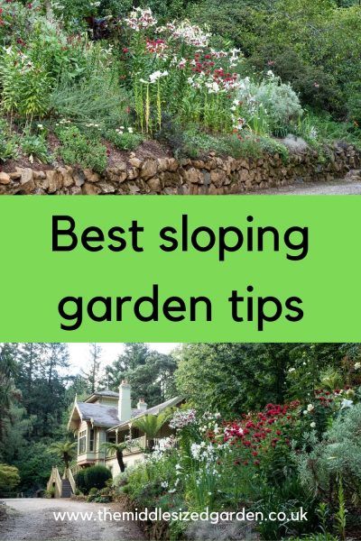 How To Plant On A Slope The Middle Sized Garden Sloped Landscaping Sloped Garden, What To Do With A Sloping Garden Uk