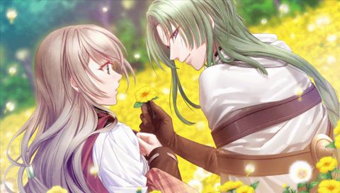 Its flower mania